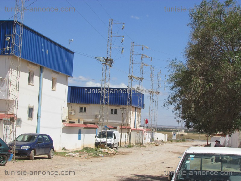 Bir Mcherga Jebel El Oust Vente Surfaces Des terrain et usine industriel