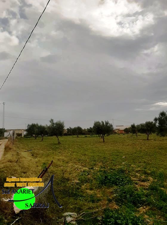 Kalaa El Kebira Belaoum Terrain Terrain agricole Senya clotur 4 hectares et 8000m kalaa kebira