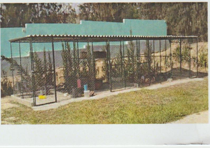 Sidi Hassine Birine Vente Surfaces Centre animations et loisirs