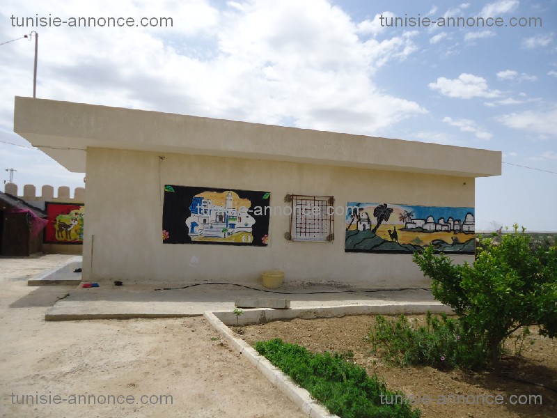 Kalaa Essghira Kalaa Essghira Terrain Terrain agricole Terrain  agricole kalaa essghira