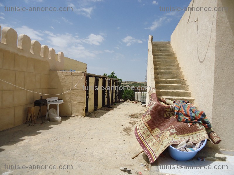 Kalaa Essghira Kalaa Essghira Terrain Terrain agricole Terrain  agricole kalaa essghira
