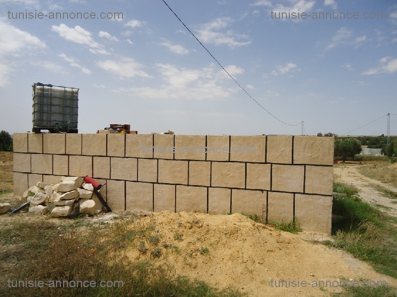 Kalaa Essghira Kalaa Essghira Terrain Terrain agricole Terrain  agricole kalaa essghira