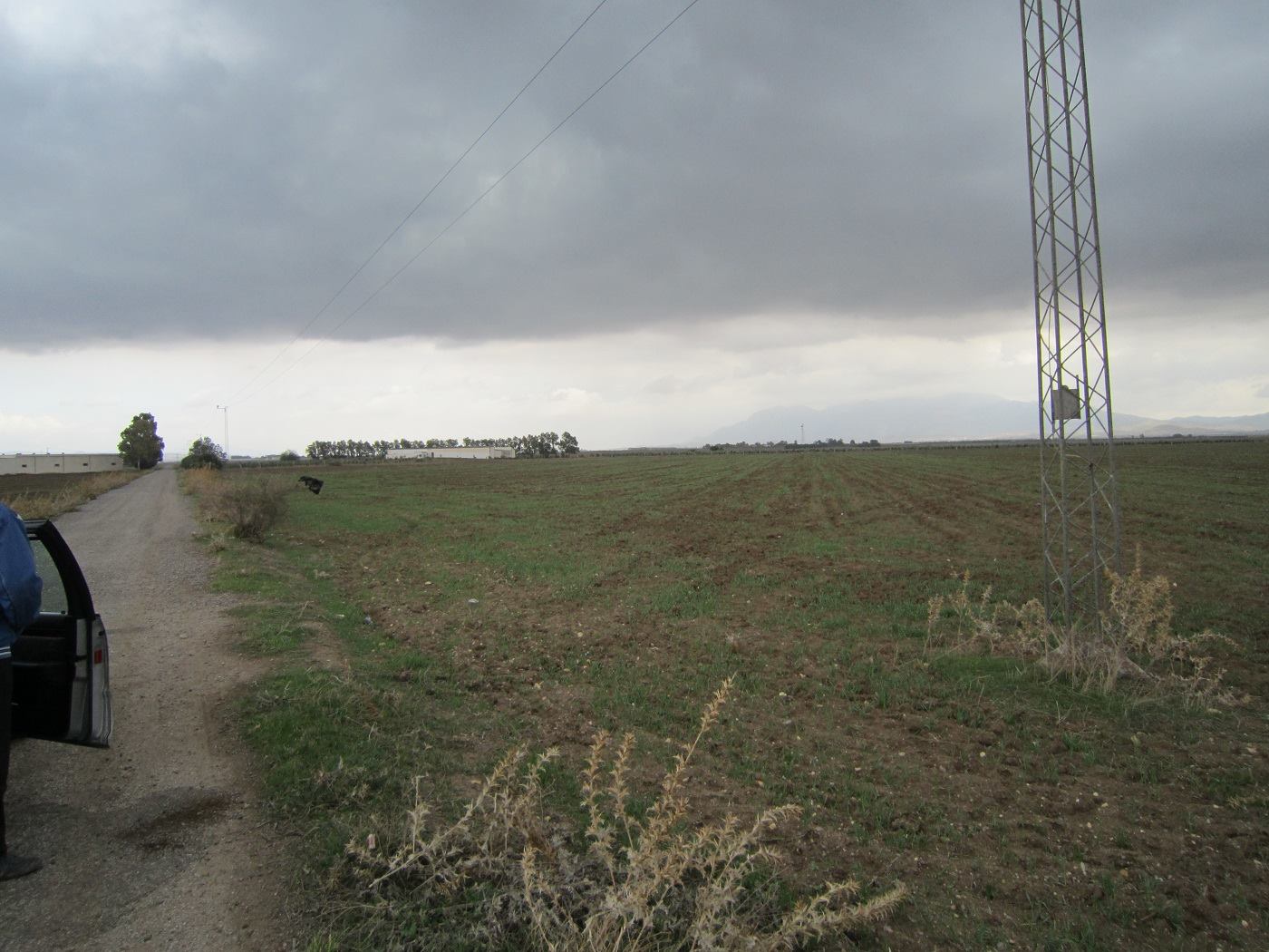 Bir Mcherga Sminja Terrain Terrain agricole Terrain 10 hectare sminja