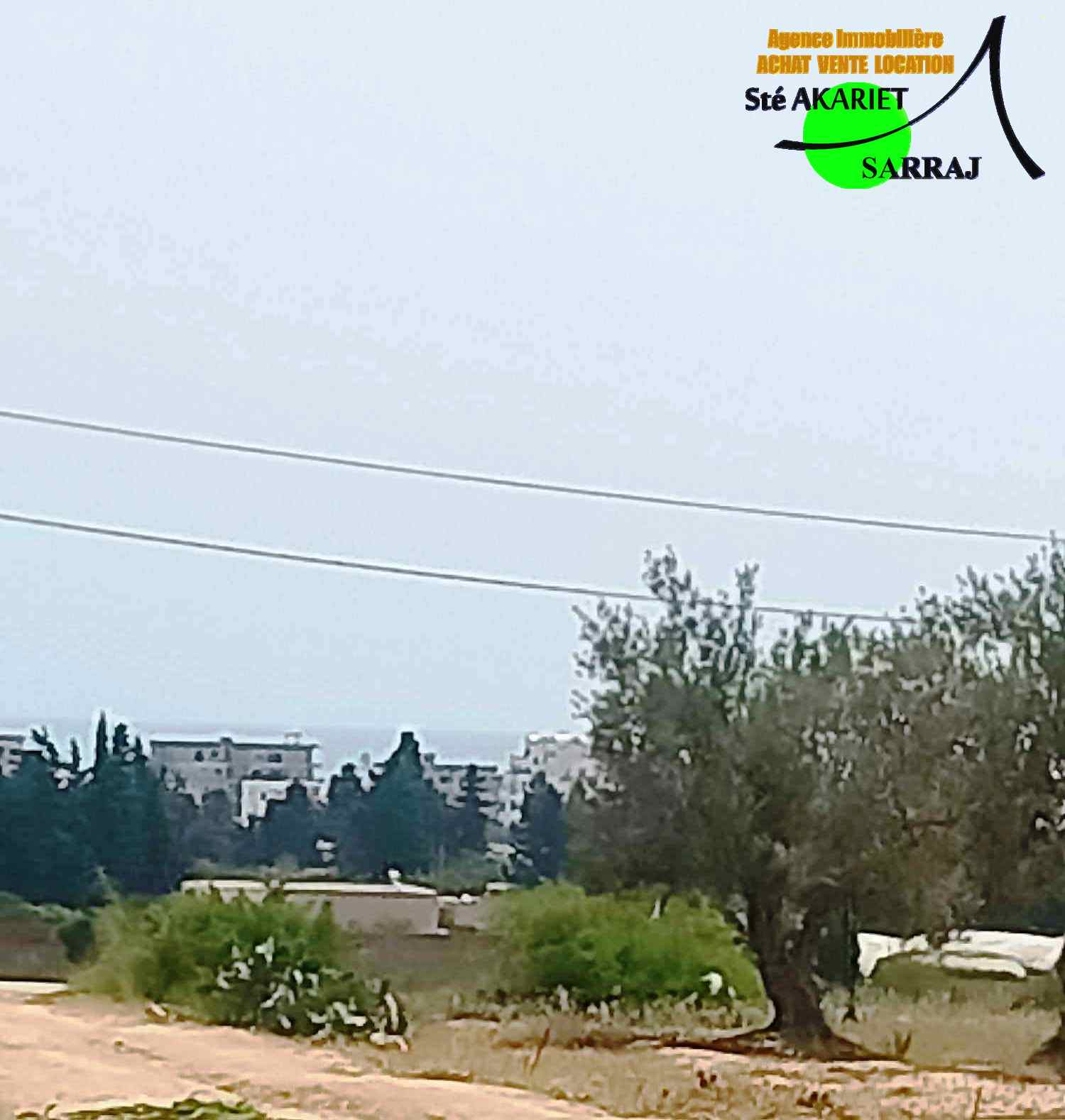 Akouda Chatt Meriem Terrain Terrain agricole Opportunit lot 311m pas loin de koussour gharnata