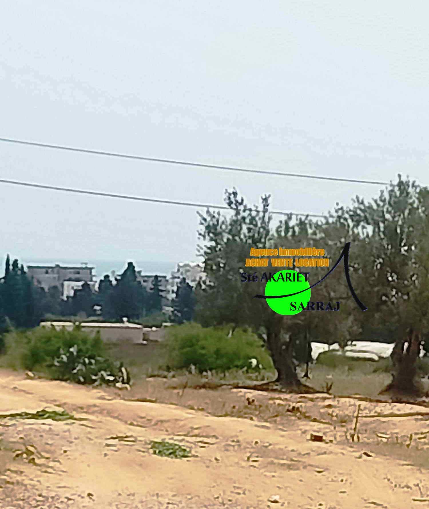 Akouda Chatt Meriem Terrain Terrain agricole Opportunit lot 311m pas loin de koussour gharnata