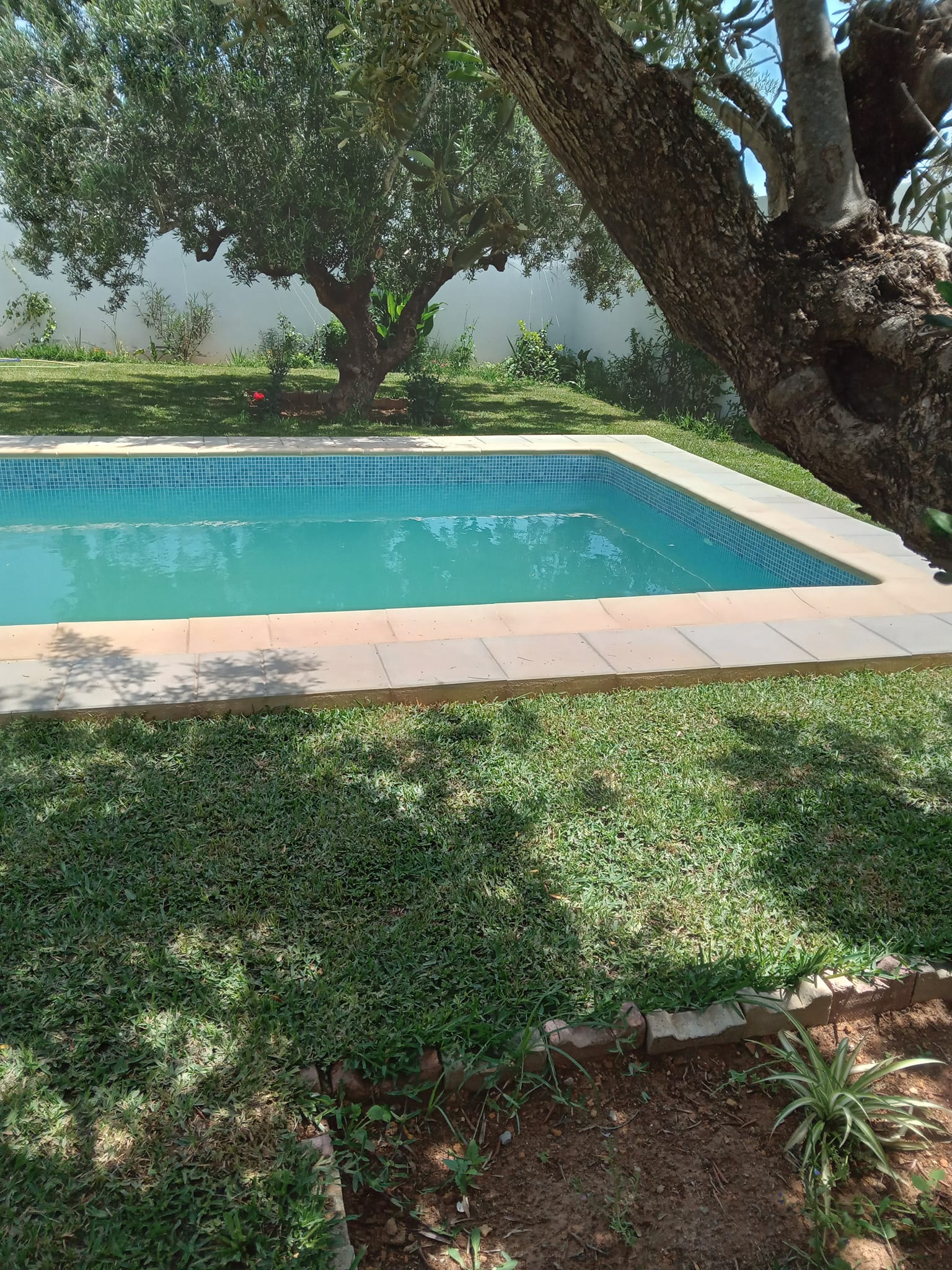 Hammamet Hammamet Vente Maisons Une villa avec piscine et jardin  hammamet