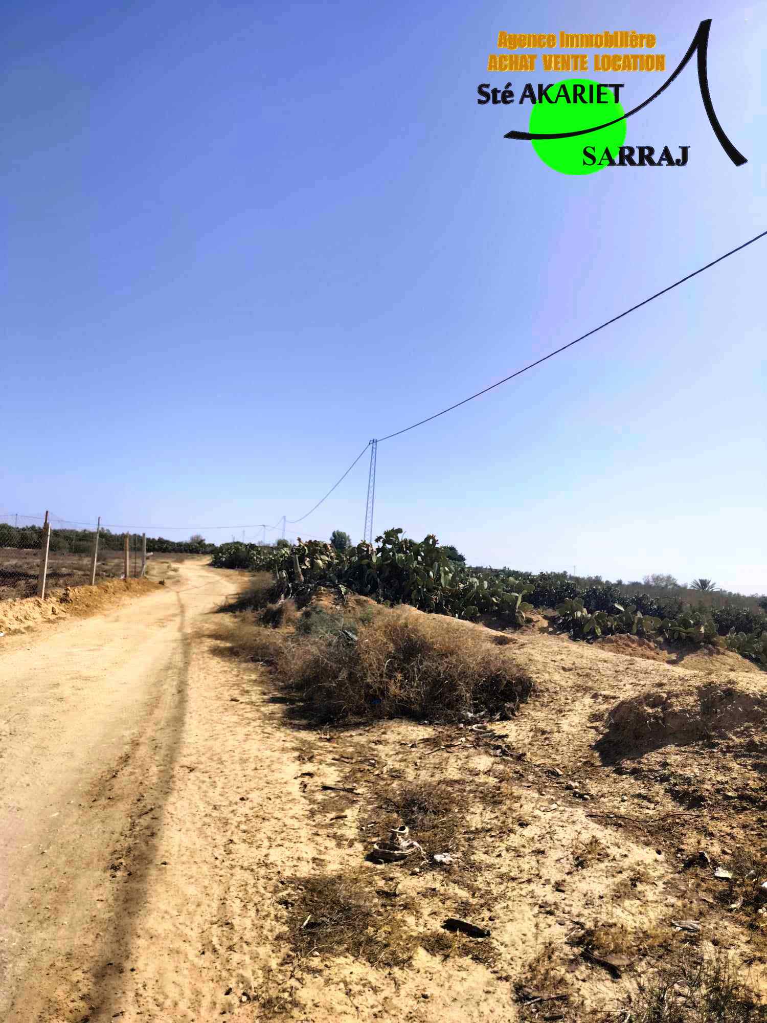 Sidi Bou Ali Sidi Bou Ali Terrain Terrain agricole Offre terrain 4000m  sidi bouali prs dar zitouna