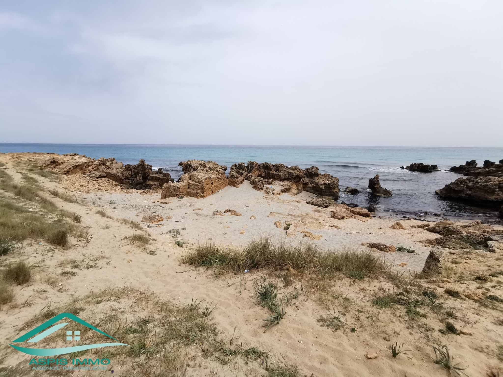 Kelibia Kerkouane Vente Surfaces Trois lots de terrain  plage kerkouene