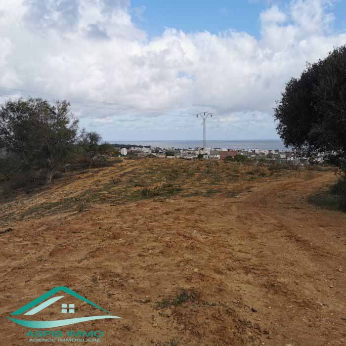 Hammam El Ghezaz Ezzahra Vente Surfaces Terrain 440 m2  ezahra kelibia