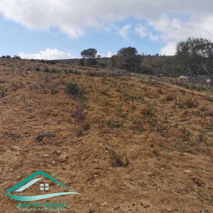 Hammam El Ghezaz Ezzahra Vente Surfaces Terrain 440 m2  ezahra kelibia