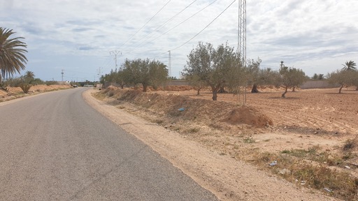 Djerba - Midoun El May Terrain Terrain agricole Terrain 2 658 m2 el may  djerba  en 1 er position