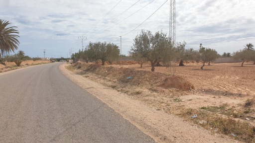 Djerba - Houmet Essouk Djerba  Terrain Terrain agricole Terrain 2730 m el may  djerba  en 1 er position