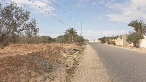 Djerba - Houmet Essouk Djerba  Terrain Terrain agricole Terrain 2730 m el may  djerba  en 1 er position