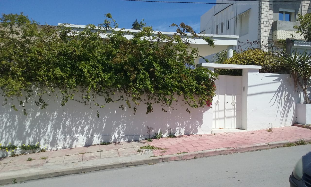 Bab Souika Borj Zouara Vente Maisons Villa  bab saadoun  tunis