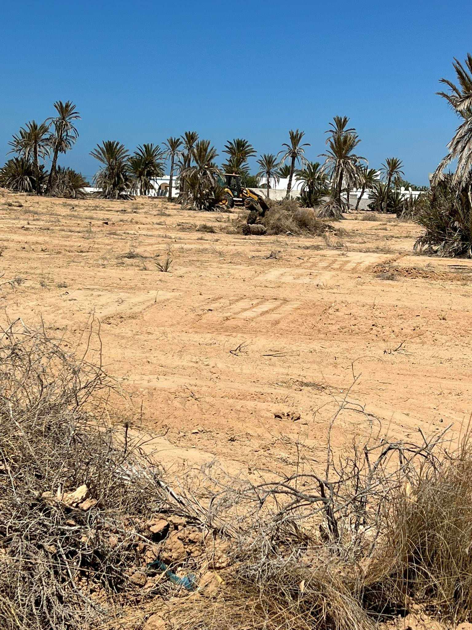 Kerkenah Ouled Yaneg Terrain Terrain nu Terrains  sidi fraj kerkennah