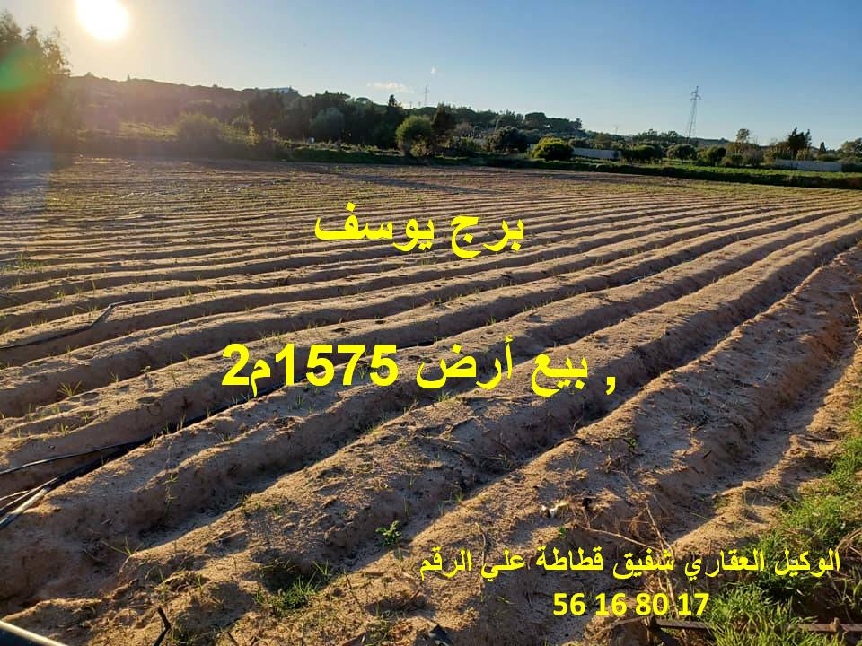 Sidi Thabet Borj Youssef Terrain Terrain nu Sidi thabet  vnt ter 1575m2