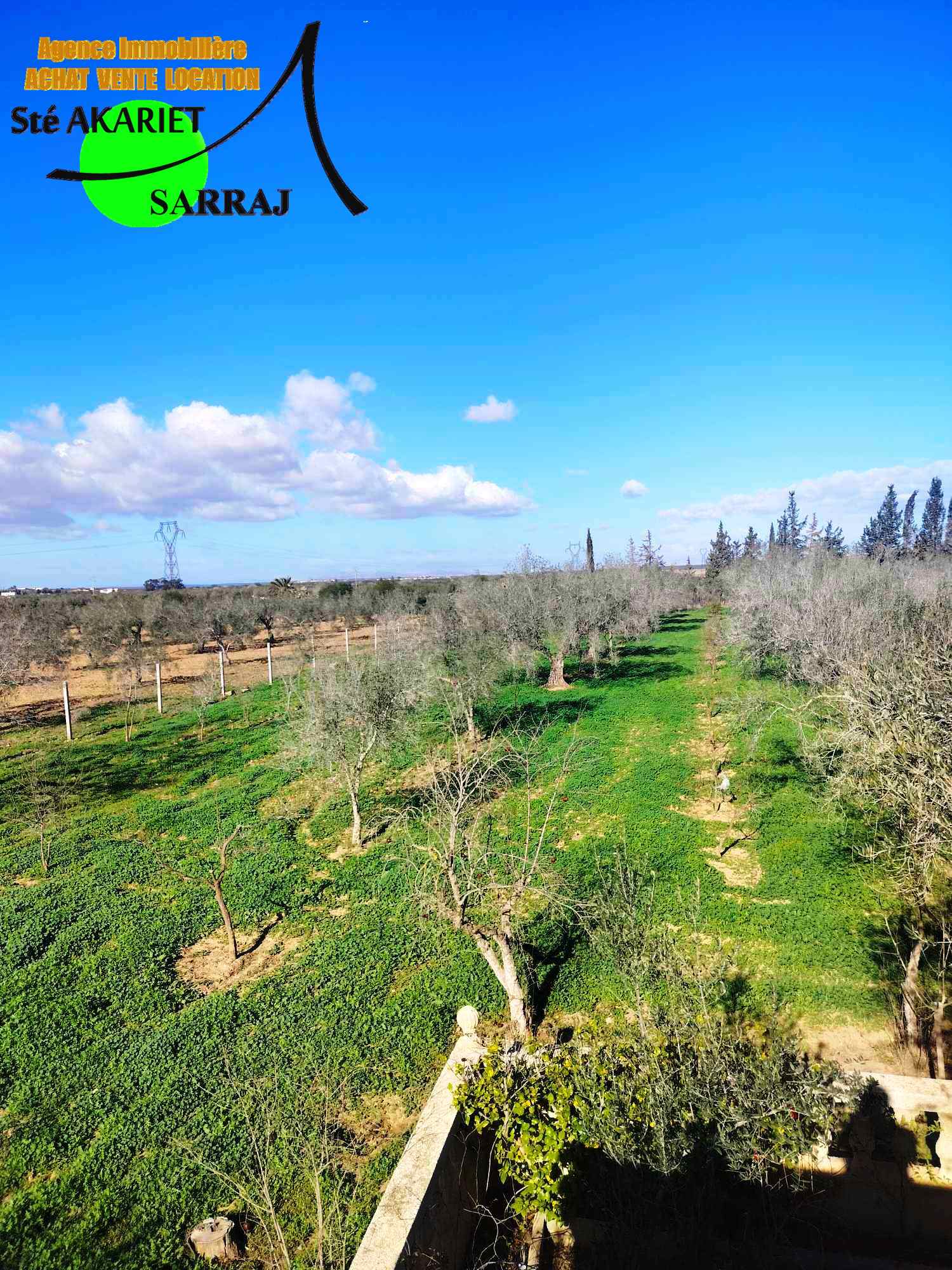 Sidi Bou Ali Kenana Terrain Terrain agricole Opportunit senia 14000m  sidi bouali vers knana