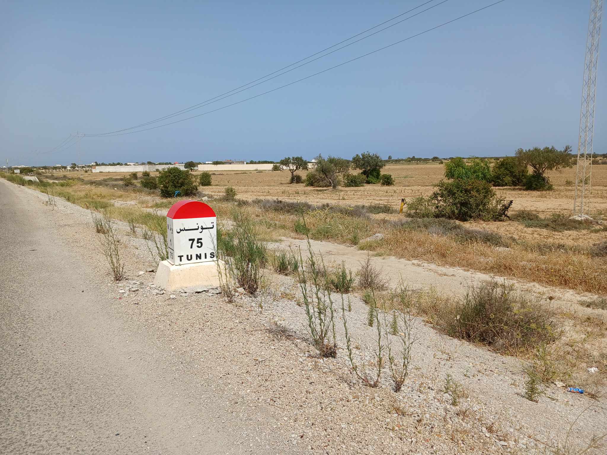 Bou Ficha Bou Ficha Terrain Terrain nu Terrains superficie 900m2 avec titre foncier