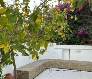 La Marsa Cite El Khalil Location Appart. 5 pices+ Villa  avec jardin la marsa s4