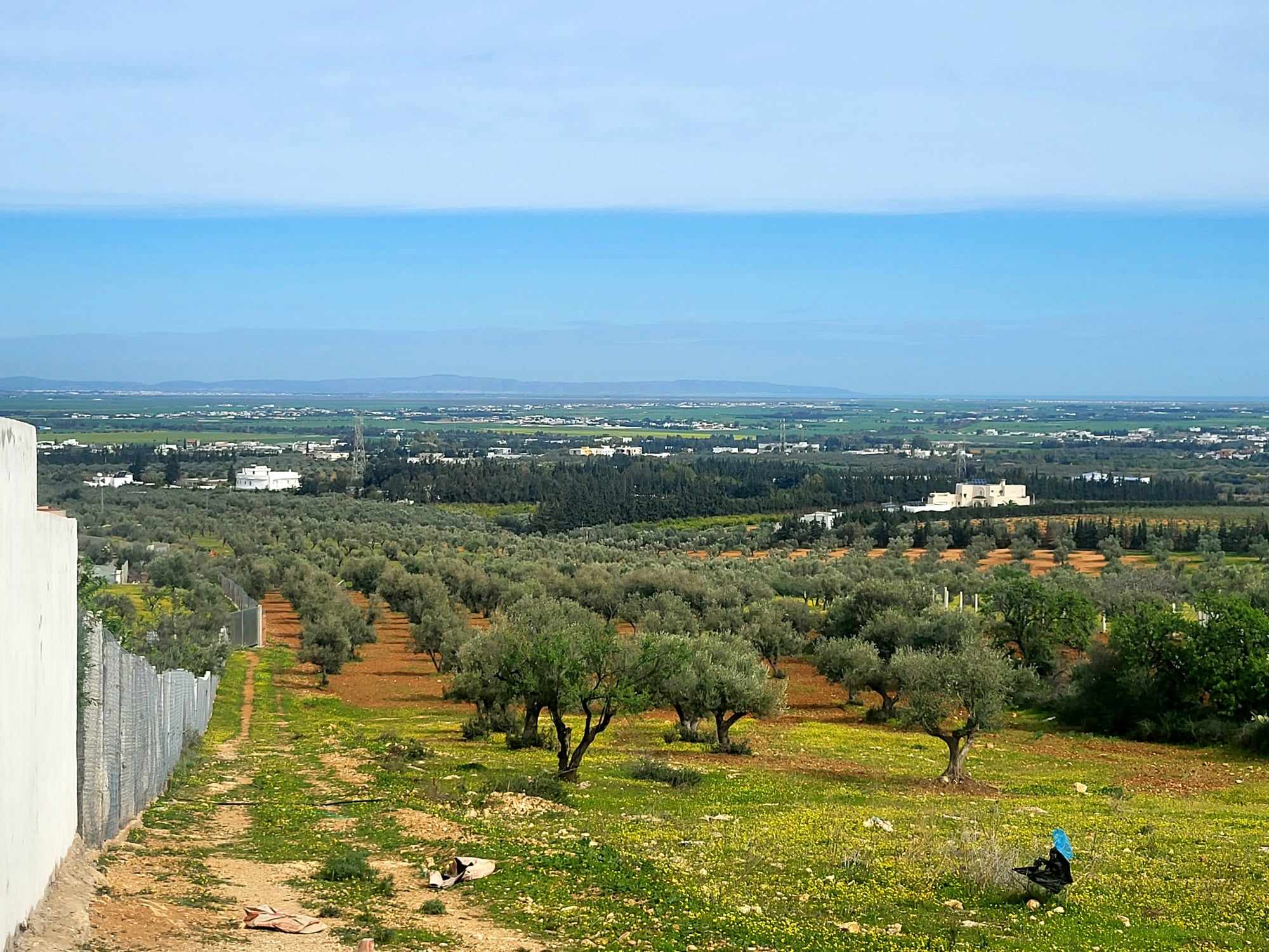 Sidi Thabet Jabbes Terrain Terrain nu 'un beau terrain 320 m2