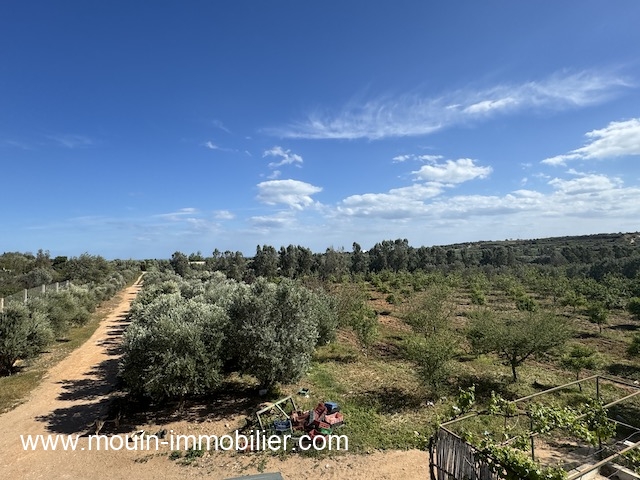 Beni Khiar Somaa Terrain Terrain agricole Ferme les emeraudes t1137 somaa beni khiar