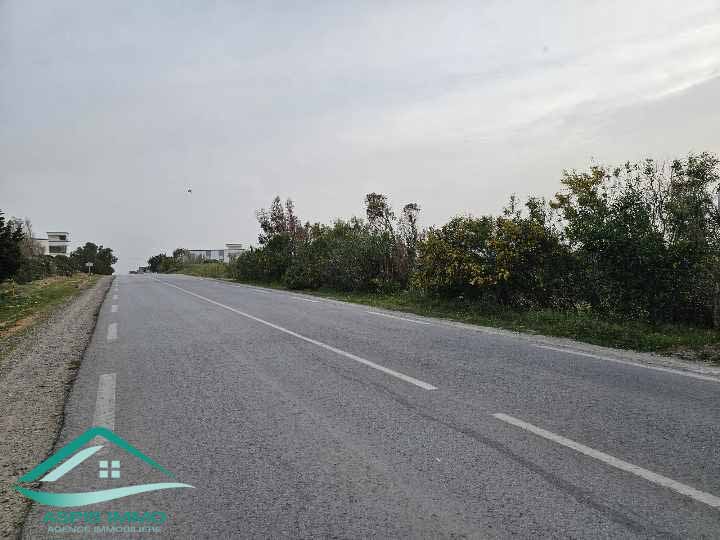 El Haouaria Charaf Vente Surfaces Terrain agricole 5 hectares  chraf el hawaria