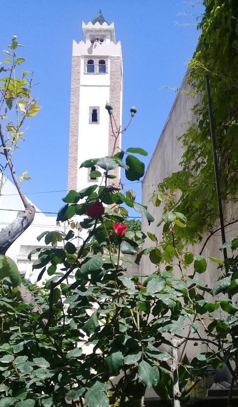 Tabarka Tabarka Location vacances Maisons Vacance de printemp  tabarka