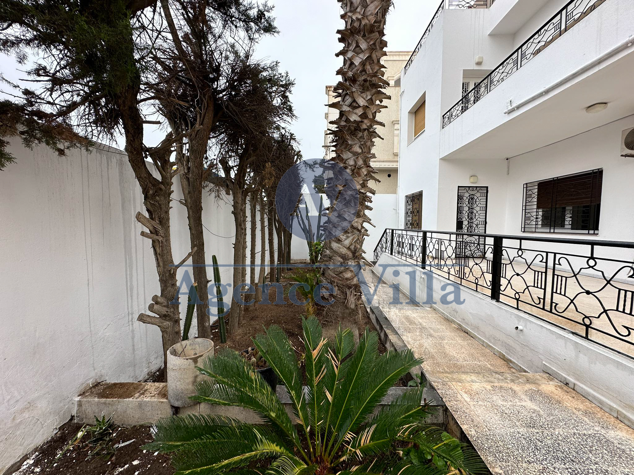 La Marsa Marsa Safsaf Location Maisons Etage de villa s4 avec jardin a la marsa
