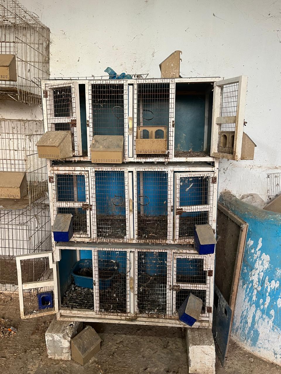 Sidi Thabet Cite El Mbarka Autre Autre Des cages des volaille