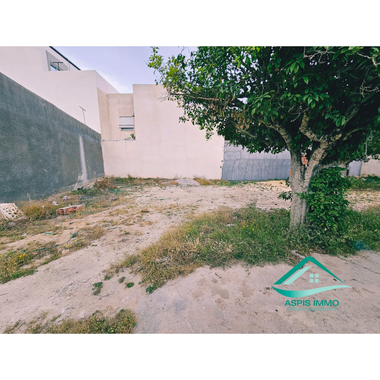 Kelibia Kelibia Vente Surfaces Terrain 260 m2  cit merdes kelibia