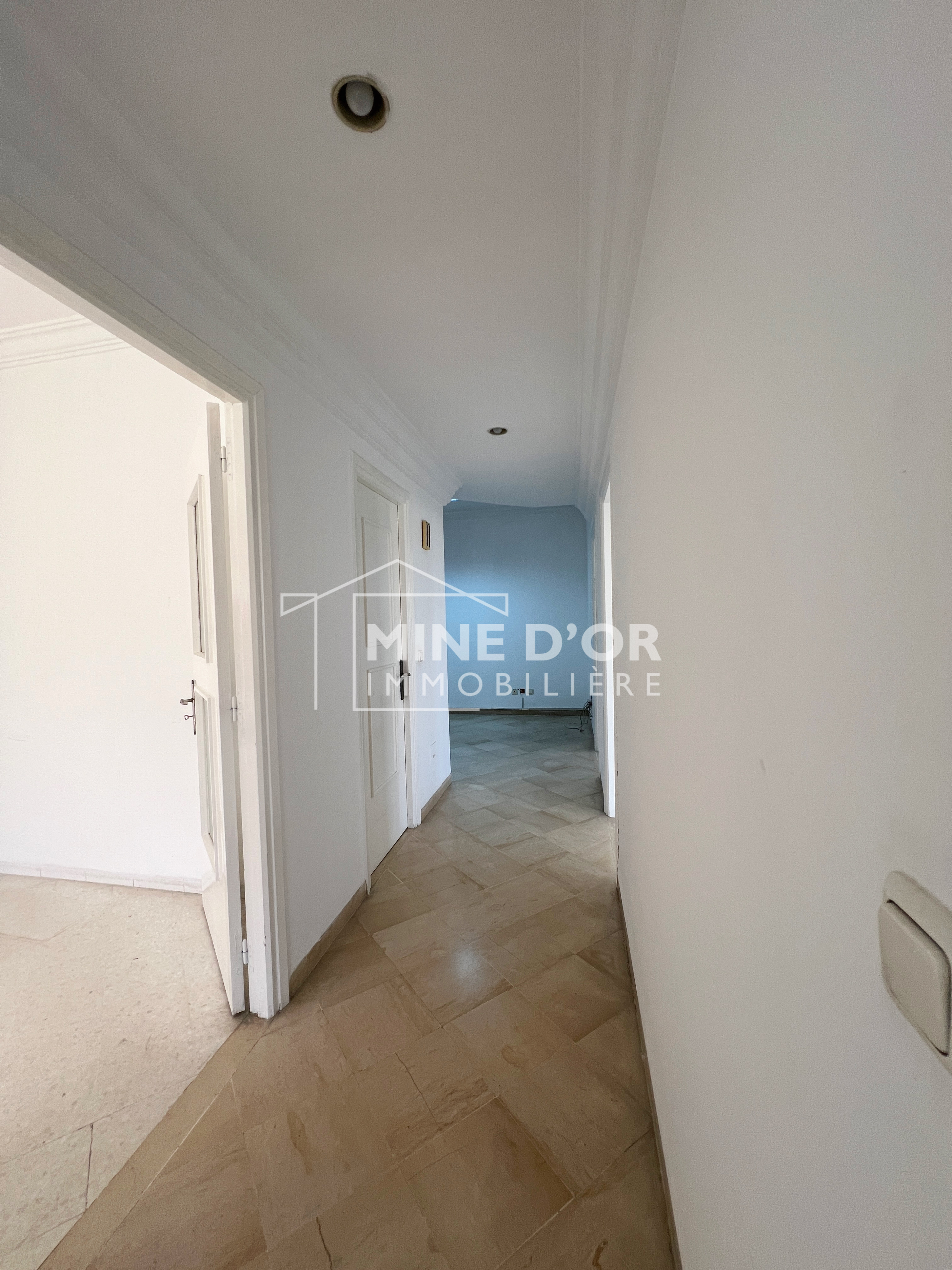 Bab Bhar Montplaisir Bureaux & Commerces Bureau Bureau h3 a monplaisir