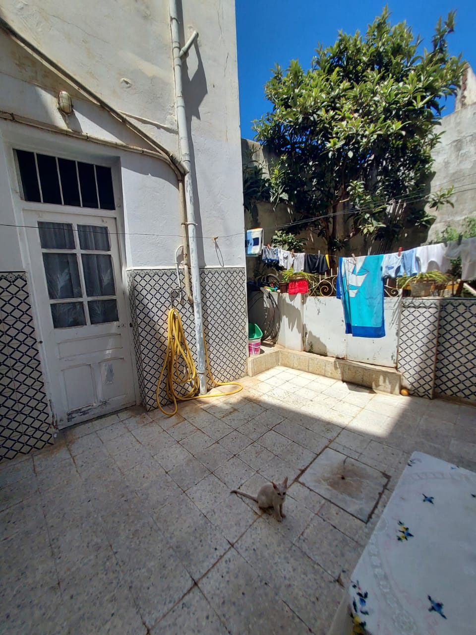 Bizerte Nord Bizerte Vente Appart. 2 pices Immeuble 5 appartements