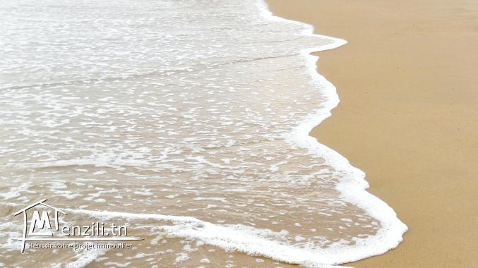 Hammam El Ghezaz Ezzahra Terrain Terrain agricole Terrain avec accs direct  la plage ezzahra