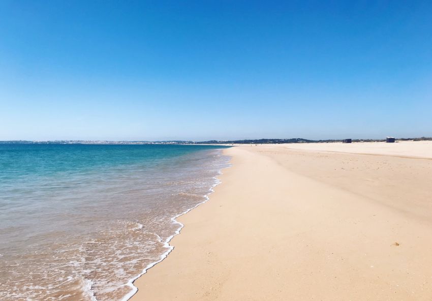 Hammam El Ghezaz Hammam Jebli Terrain Terrain nu Offre spcial de 10 000 metre caree  kelibia