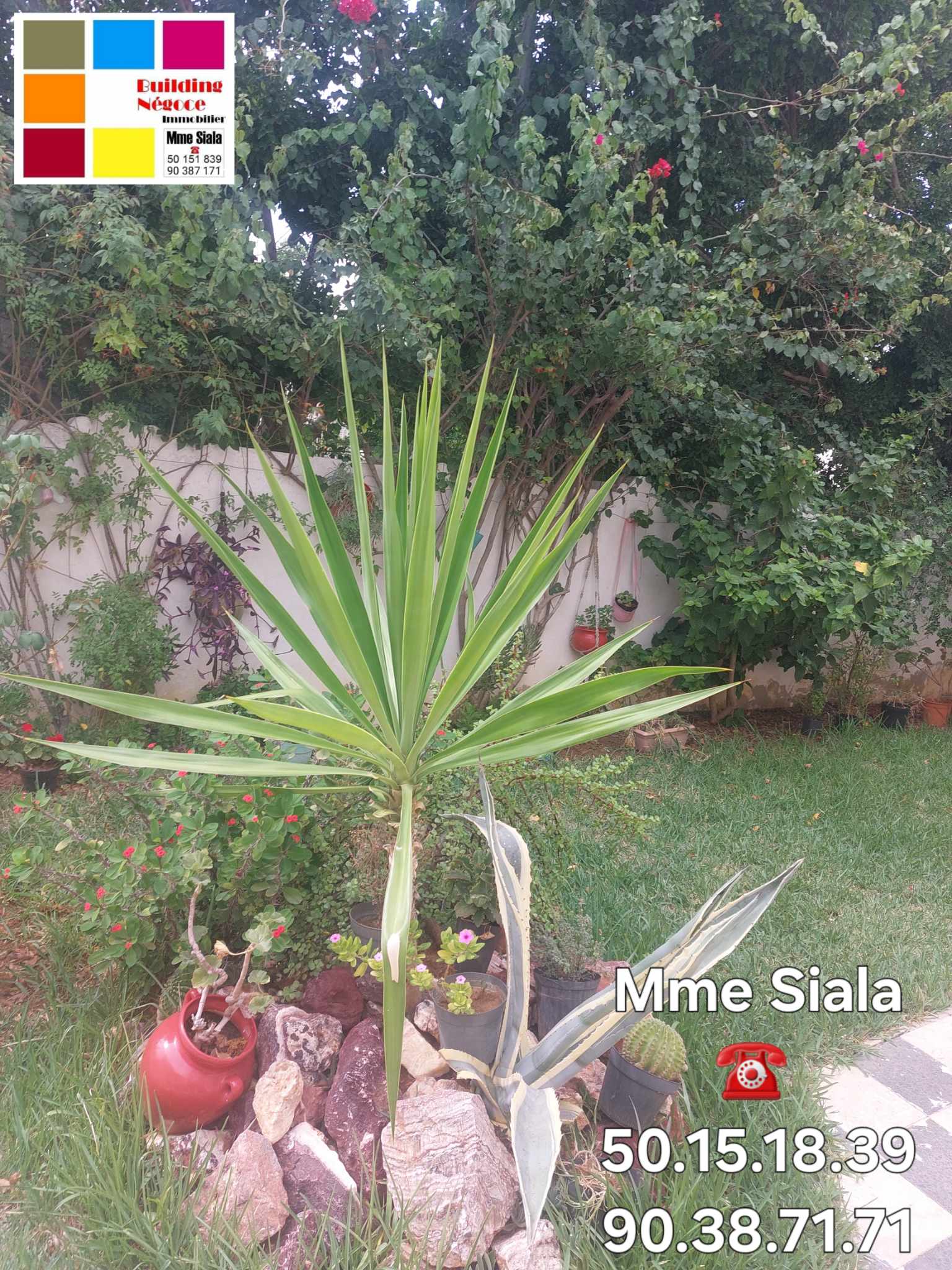 Ariana Ville Cite Ennasr 2 Location Appart. 3 pices Ennasr 2 grand etage villa s4 avec terrasse