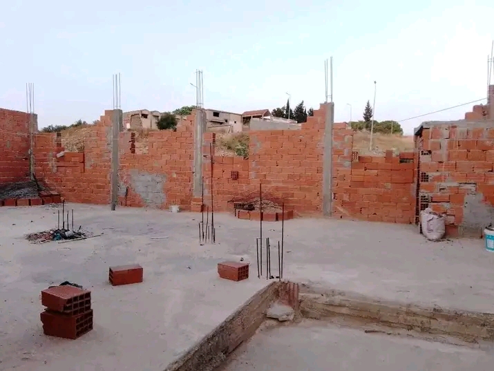 Oued Ellil Oued Ellil Vente Autre Mannouba oued ellilchebaw