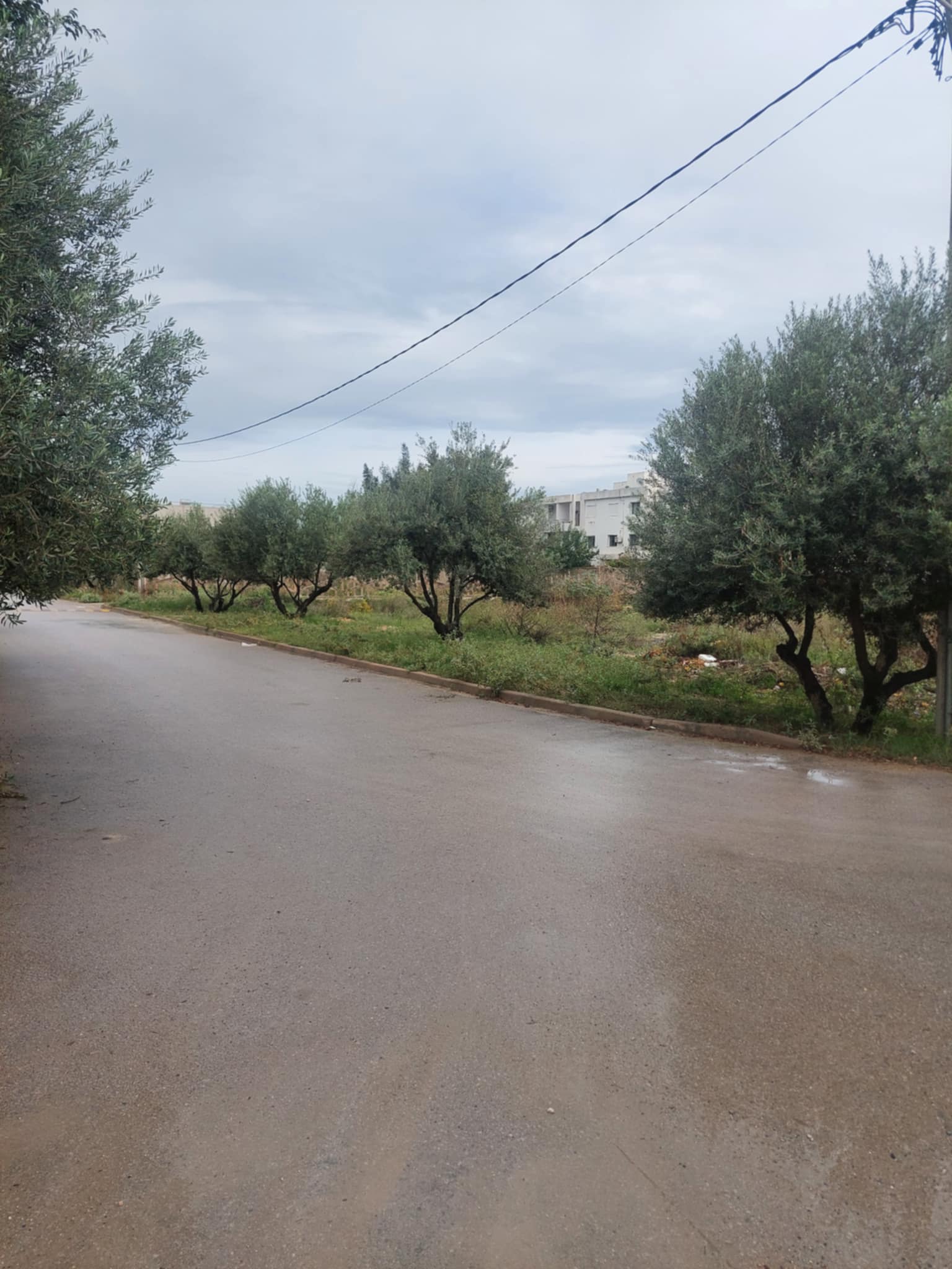 La Soukra La Soukra Terrain Terrain nu Terrain pour promoteur soukra