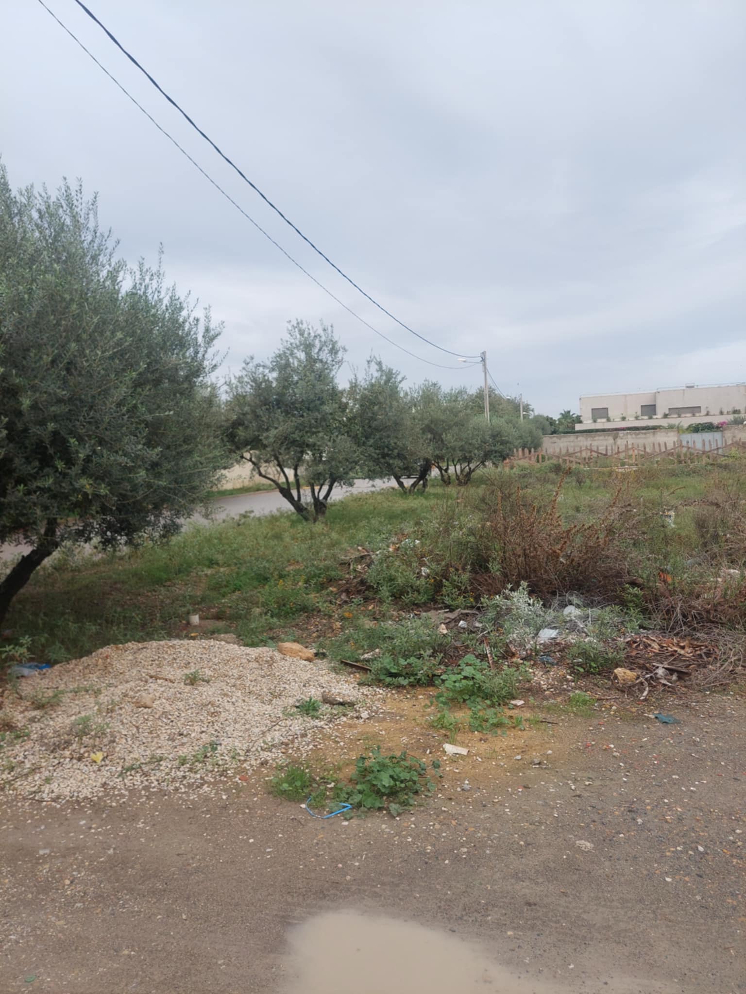 La Soukra La Soukra Terrain Terrain nu Terrain pour promoteur soukra