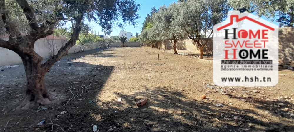 Mannouba&nbsp;La Mannouba&nbsp;Terrain&nbsp;Terrain nu&nbsp;Terrain ricci � manouba