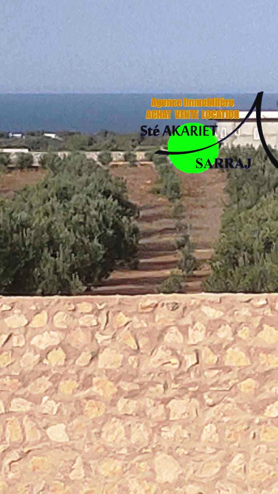 Akouda Chatt Meriem Terrain Terrain agricole Terrain 2300m devant taksim el fourati rmila