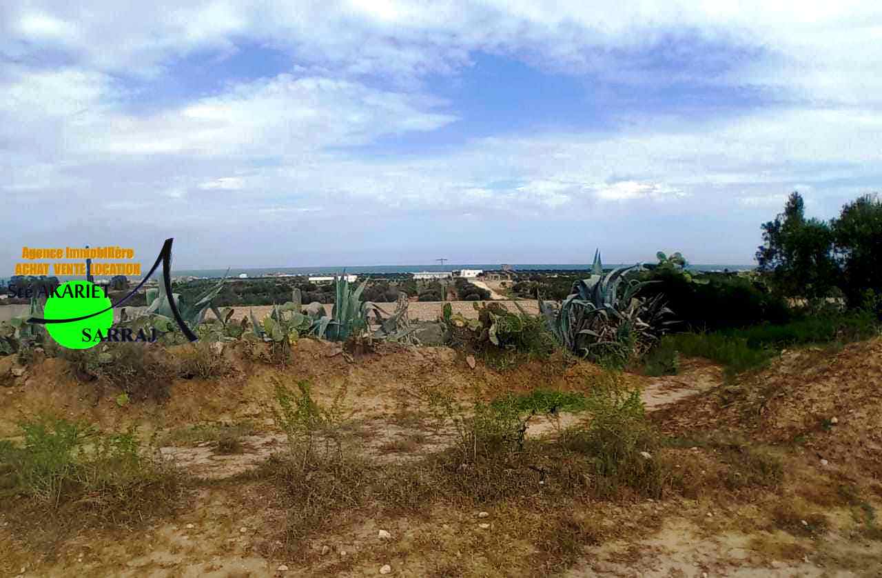 Akouda Chatt Meriem Terrain Terrain agricole Terrain titr vue de mer 2000m  rmila