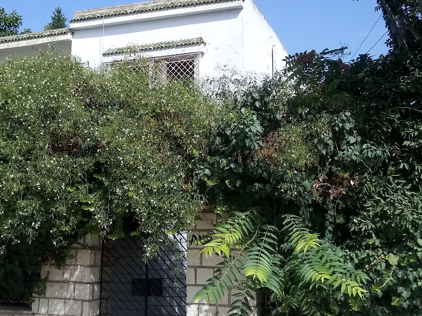 Le Bardo Le Bardo Vente Maisons Maison  bardo