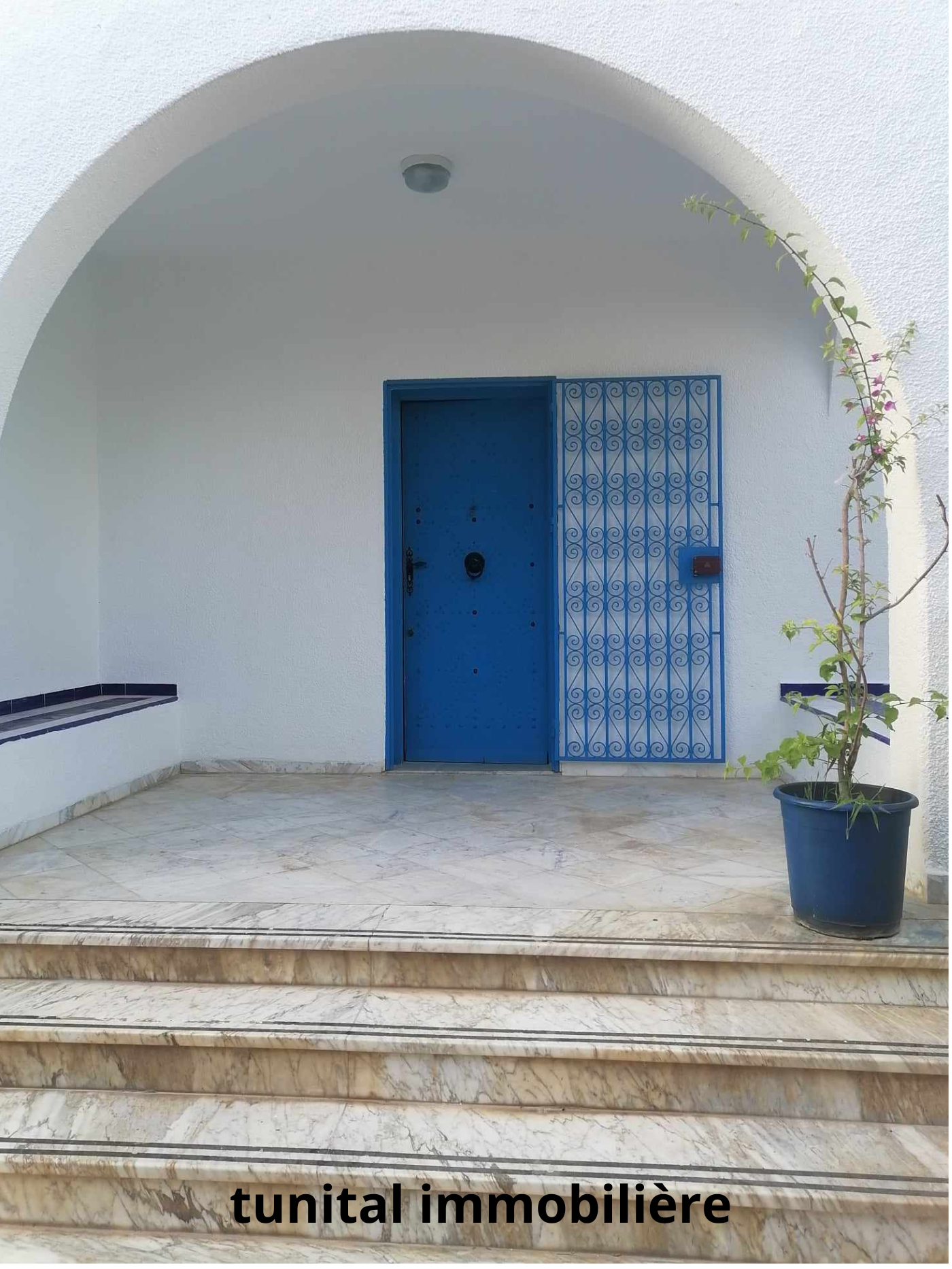 Carthage Sidi Bousaid Location Maisons Villa  sidi bou said