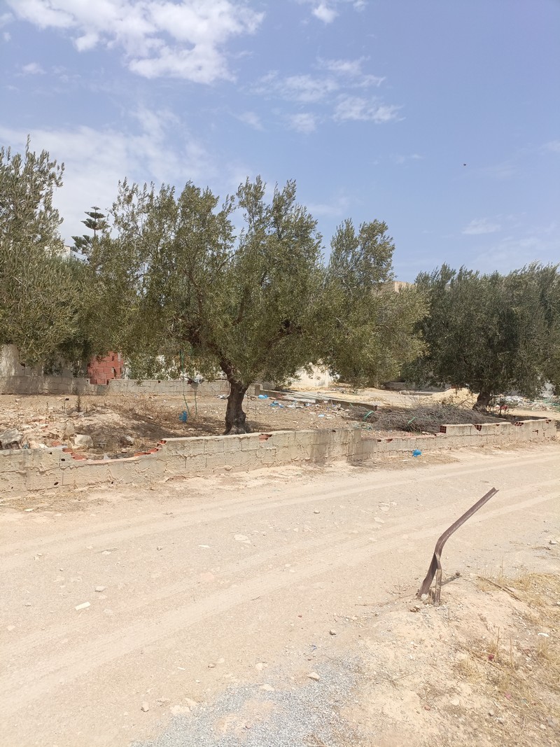 Hammamet Hammamet Terrain Terrain nu Av terrain 200m  hammamet sud