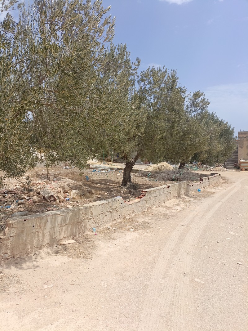 Hammamet Hammamet Terrain Terrain nu Av terrain 200m  hammamet sud