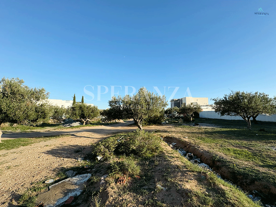 Hammamet Hammamet Vente Surfaces Terrain mia