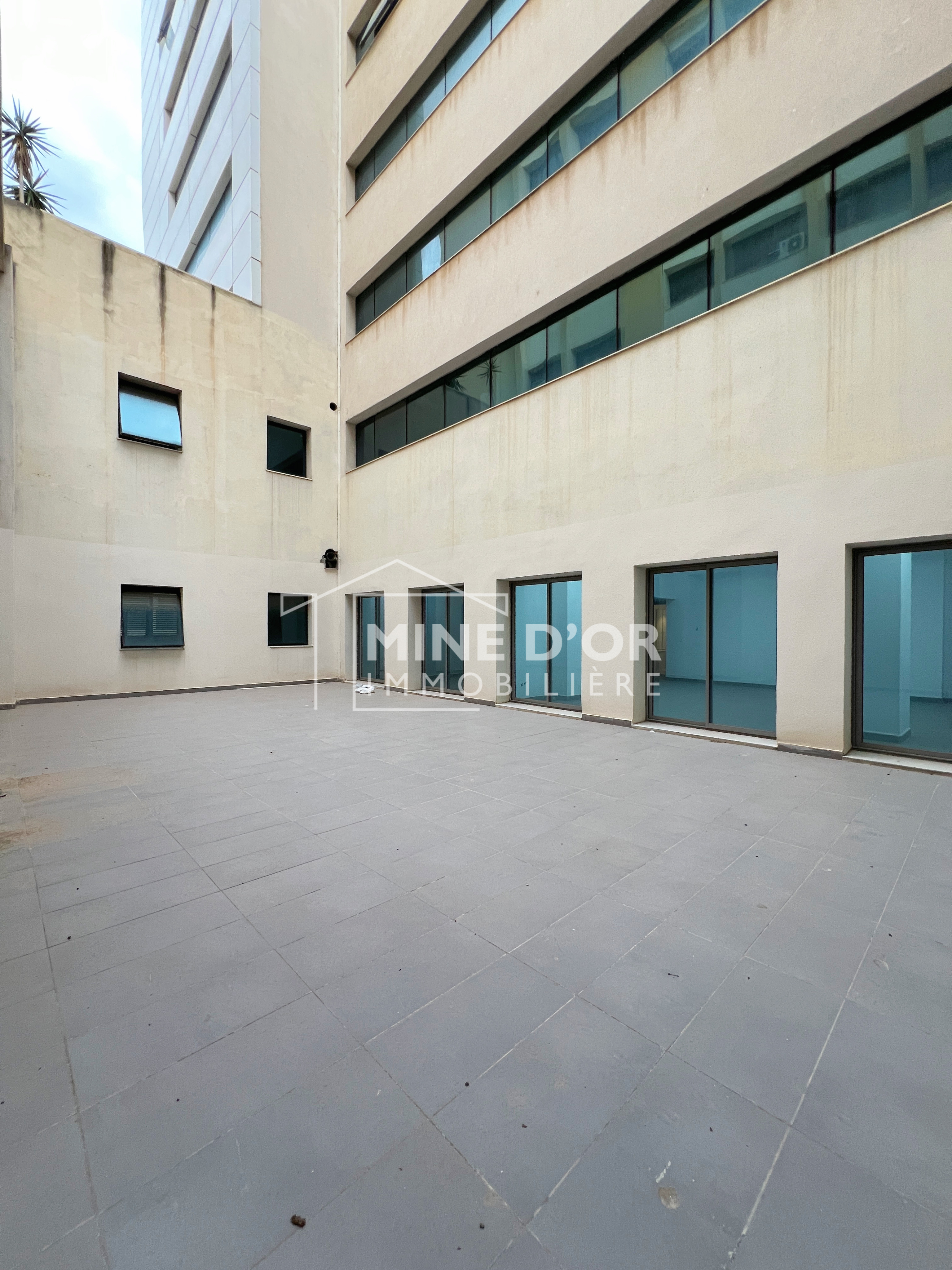 Bab Bhar Montplaisir Bureaux & Commerces Bureau Plateau lumineux au rdc a usage professionnel