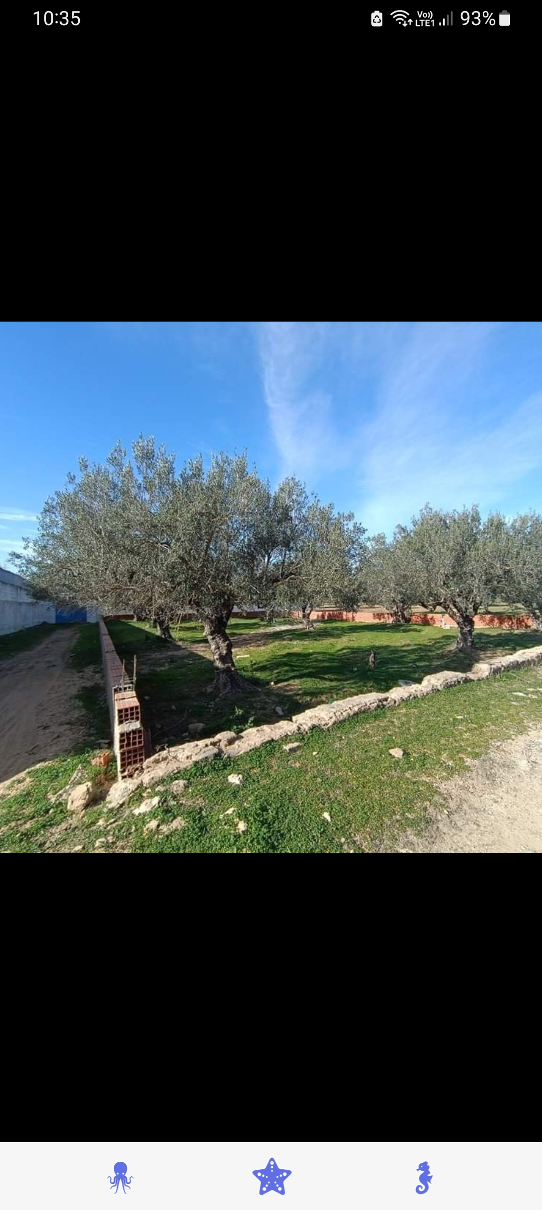 Hammamet Hammamet Terrain Terrain nu Terrain de 804 m2 a chraaf