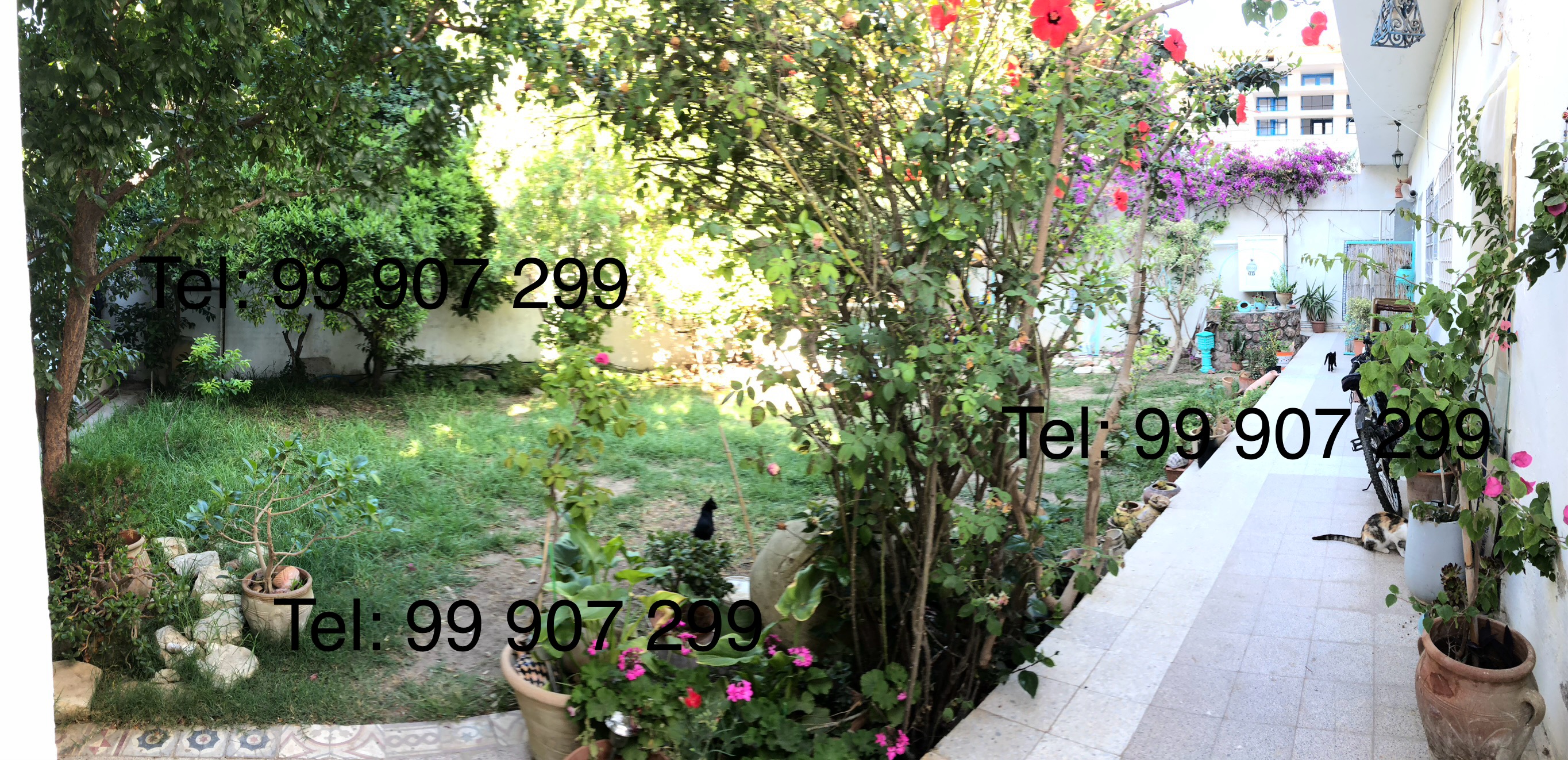 La Marsa Marsa Safsaf Location Appart. 5 pices+ Etage de villa  la marsa residence