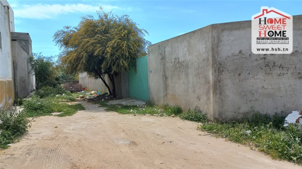 La Marsa Gammart Terrain Terrain nu Terrain promoteur bleuette  gammarth